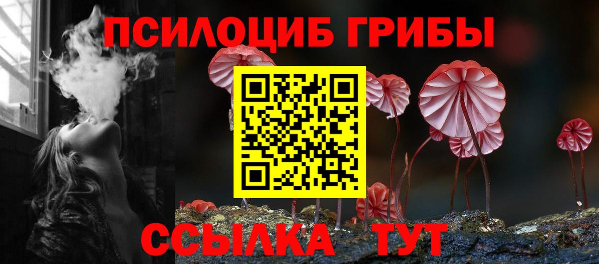 Галлюциногенные грибы мицелий Карталы